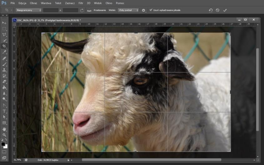 Ilustracja do pytania