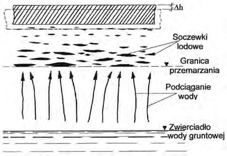 Ilustracja do pytania 15