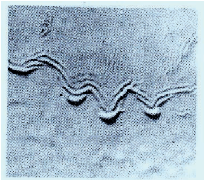 Ilustracja do pytania 21