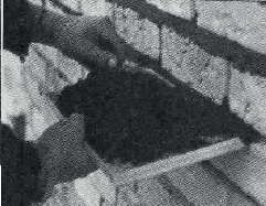 Ilustracja do odpowiedzi B