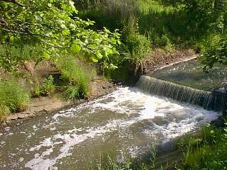 Ilustracja do pytania 37