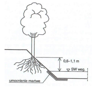 Ilustracja do pytania 37