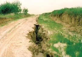 Ilustracja do pytania 15