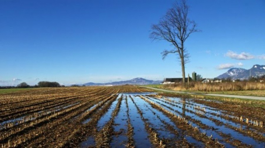 Ilustracja do pytania 3