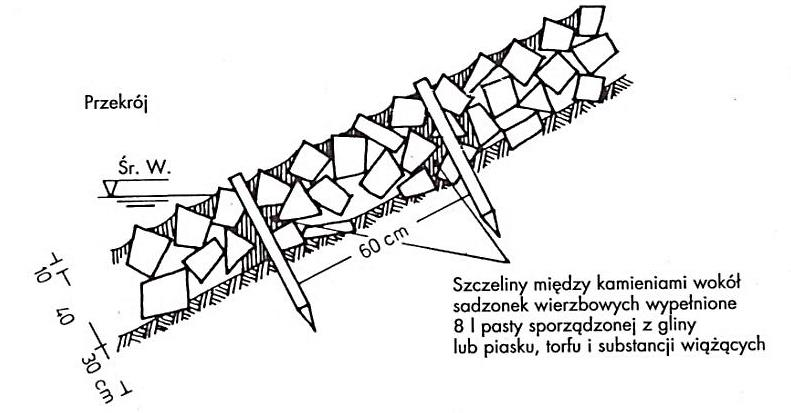 Ilustracja do pytania 25