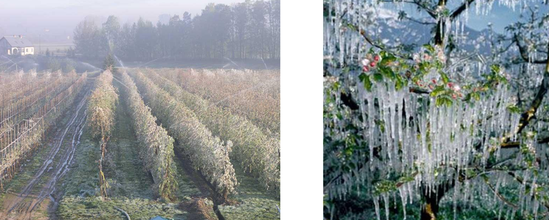 Ilustracja do pytania 6