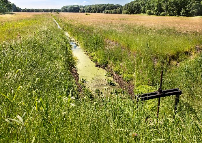 Ilustracja do pytania 8