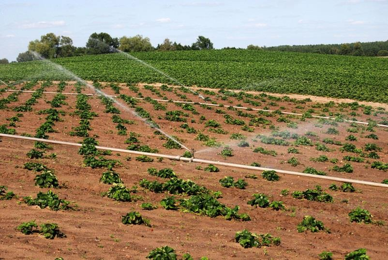 Ilustracja do pytania 2