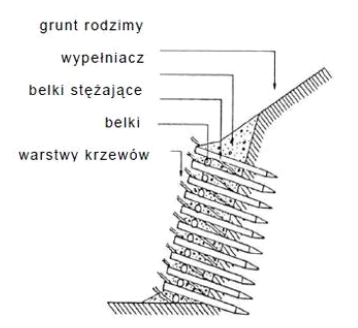 Ilustracja do pytania 12