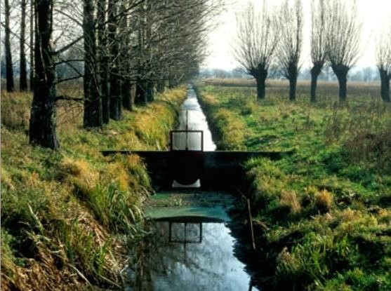 Ilustracja do pytania 28