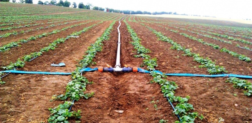 Ilustracja do pytania 25