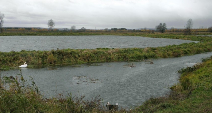 Ilustracja do pytania 17