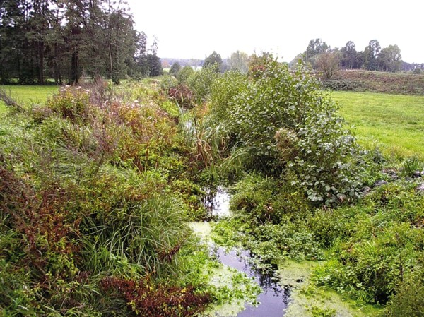 Ilustracja do pytania 39