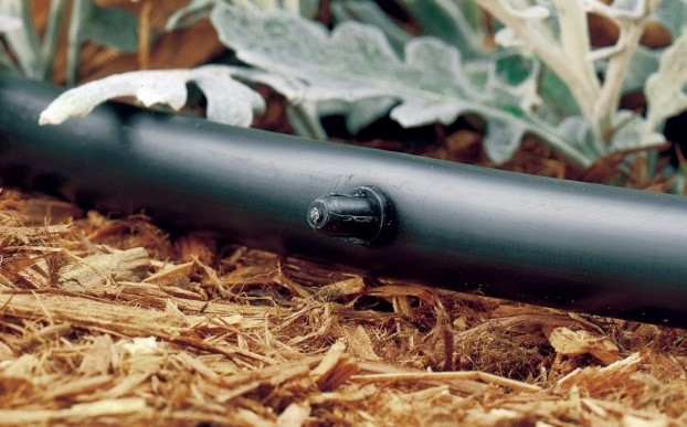 Ilustracja do pytania 38