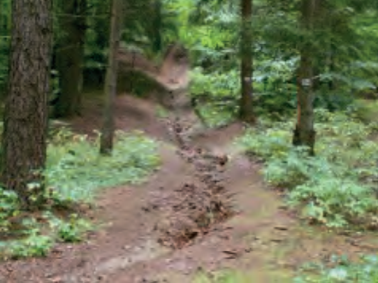 Ilustracja do pytania 30