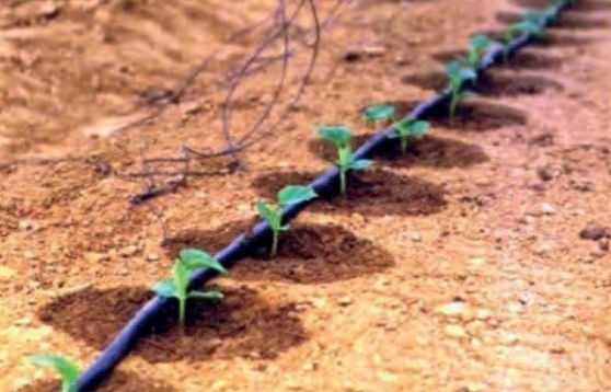 Ilustracja do pytania 30