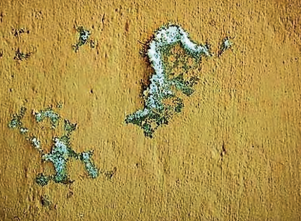 Ilustracja do pytania