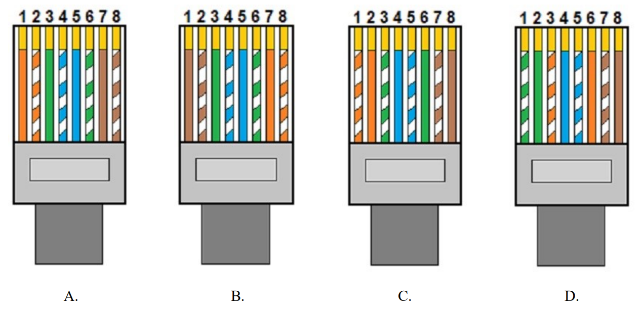 Ilustracja do pytania 25