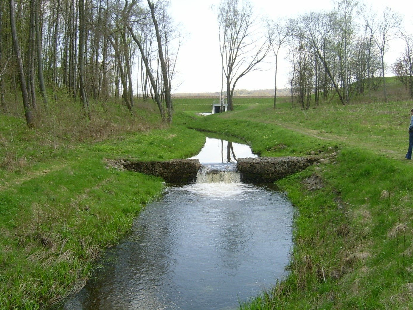 Ilustracja do pytania 12