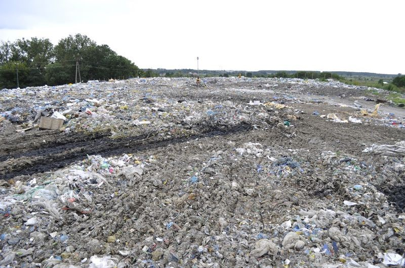 Ilustracja do pytania 10