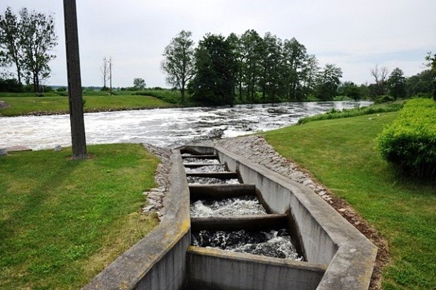 Ilustracja do pytania 2