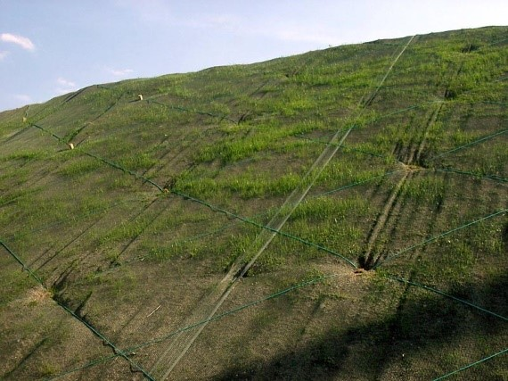 Ilustracja do odpowiedzi C