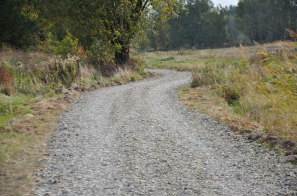 Ilustracja do pytania 15