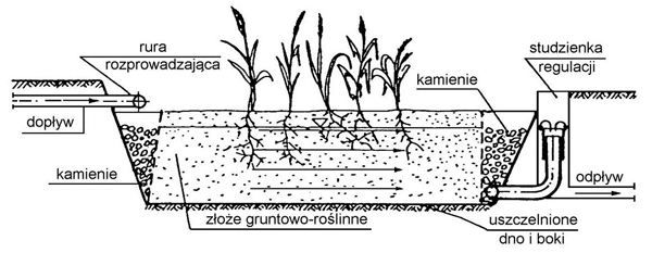 Ilustracja do pytania 33