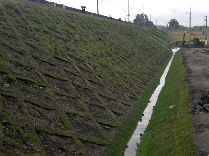 Ilustracja do odpowiedzi D