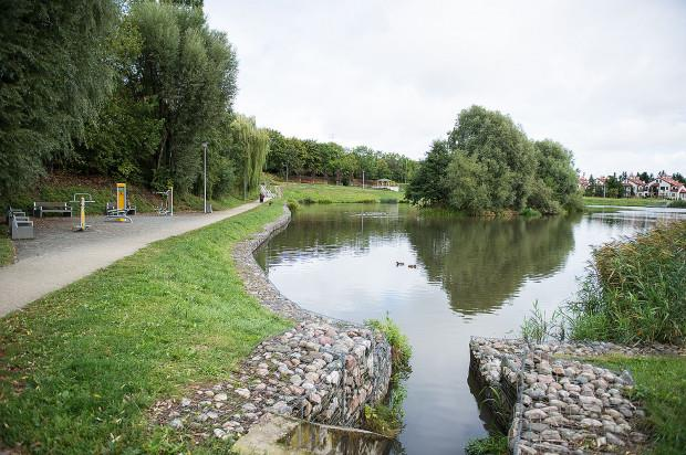 Ilustracja do pytania 31