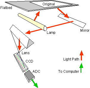 Ilustracja do pytania