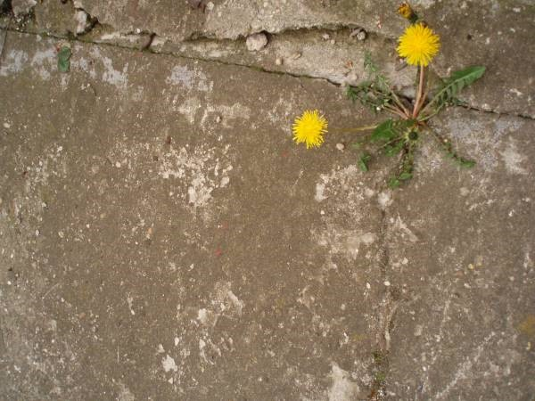 Ilustracja do odpowiedzi A