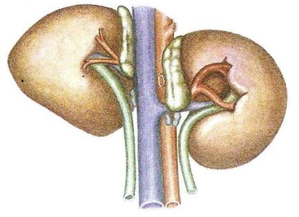 Ilustracja do pytania