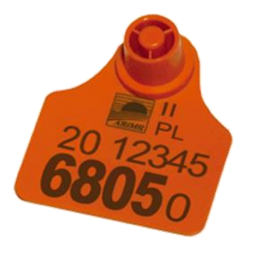 Ilustracja do pytania