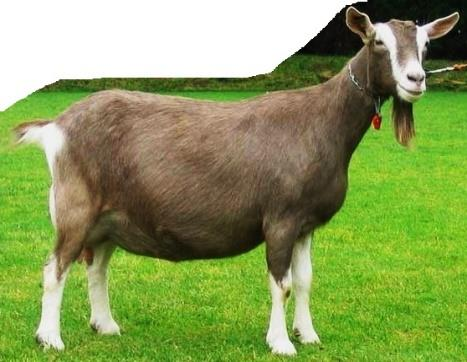 Ilustracja do pytania