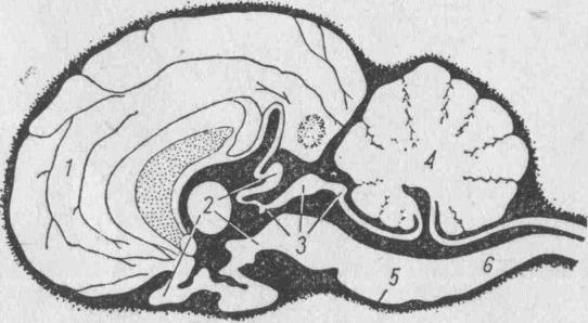 Ilustracja do pytania 12