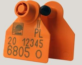 Ilustracja do pytania