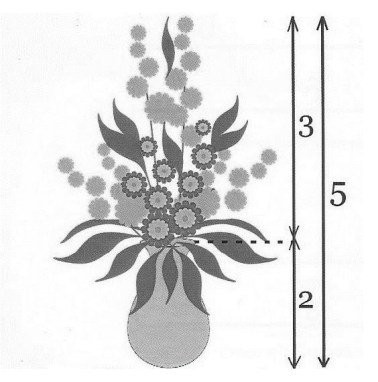 Ilustracja do pytania 36