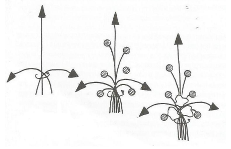 Ilustracja do pytania 28