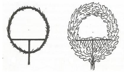 Ilustracja do pytania