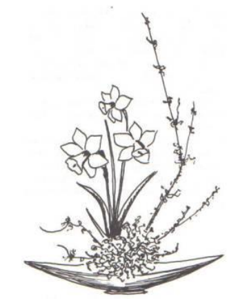 Ilustracja do pytania 32