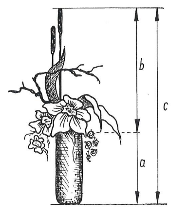 Ilustracja do pytania 14
