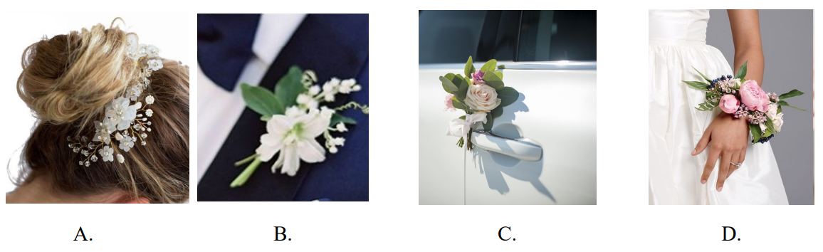 Ilustracja do pytania 32