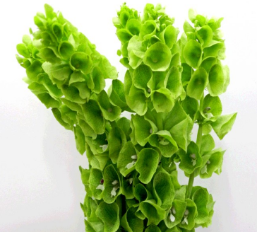 Ilustracja do pytania 3