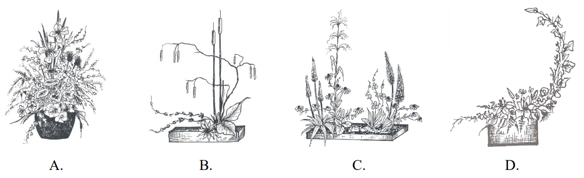 Ilustracja do pytania 8
