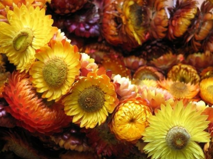 Ilustracja do pytania 4