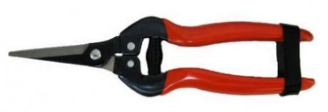 Ilustracja do pytania 29