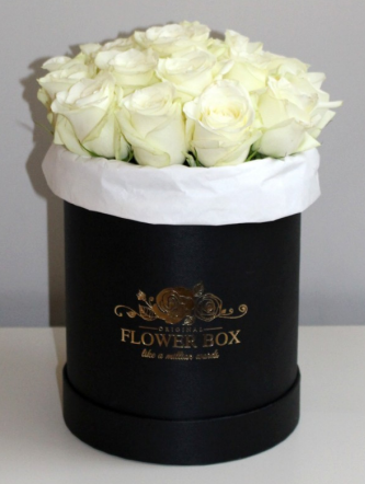 Ilustracja do pytania 31