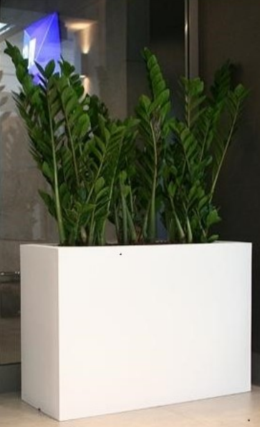 Ilustracja do pytania 21