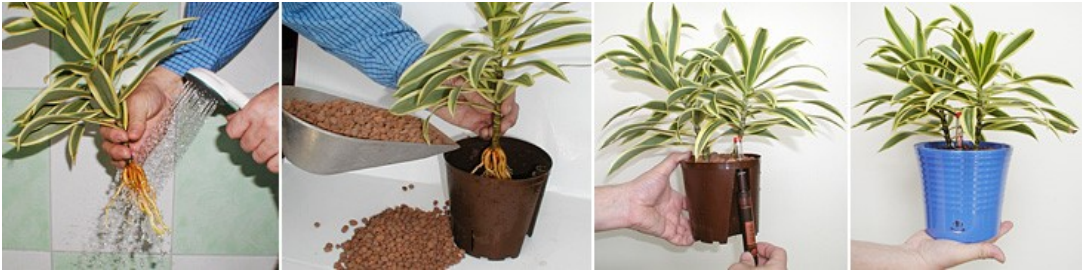 Ilustracja do pytania 26